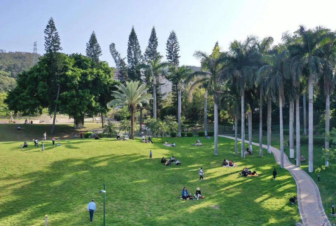 1659336757520391.jpg 59326765ec9b4841c7281912136112b2.jpg